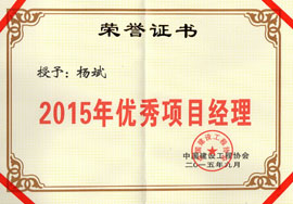 2015年優(yōu)秀項目經(jīng)理-楊斌